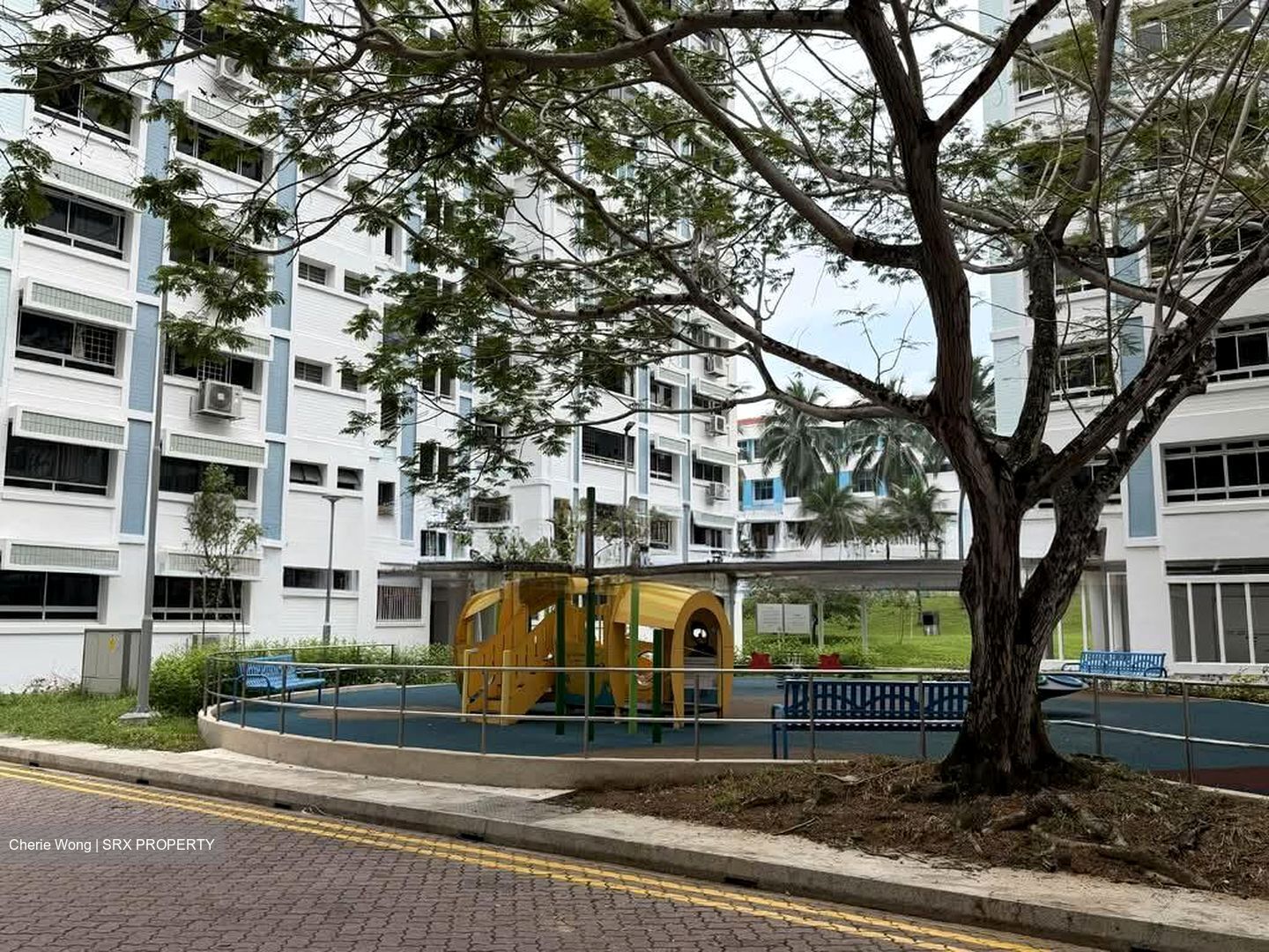 Blk 247 Pasir Ris Street 21 (Pasir Ris), HDB Executive #561030491